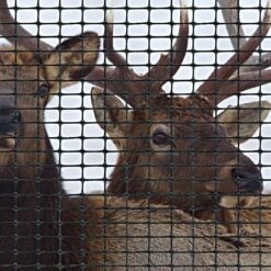 Elk Fencing, Heavy-Duty, 7-1/2ft Height X 100ft Length By Tenax