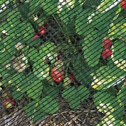 Deluxe Bird Barricade, 14ft X 45ft By DeWitt