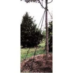 Bulk Tree Stake Kit With 6ft Straps By Lawson