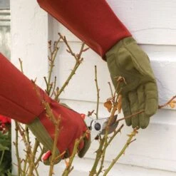 Rose Gloves, Thorn-Proof Suede, Ruby Red With Olive Palms, Unisex By West County 21 Rose Gloves, Thorn-Proof Suede, Ruby Red With Olive Palms, Unisex By West County -A.M. Leonard Tools Shop vp 054 10