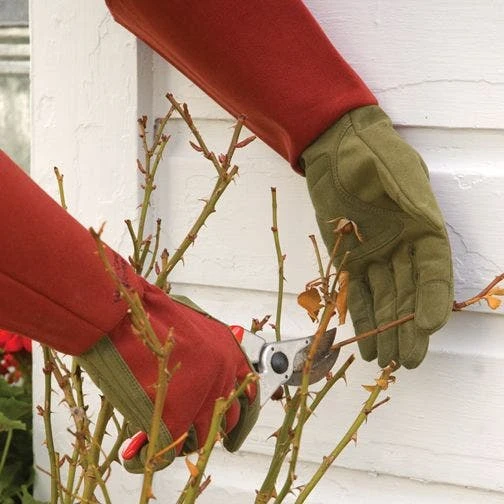 Rose Gloves, Thorn-Proof Suede, Ruby Red With Olive Palms, Unisex By West County 11 Rose Gloves, Thorn-Proof Suede, Ruby Red With Olive Palms, Unisex By West County - Image 11