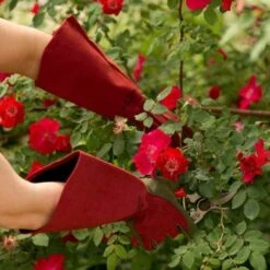 Rose Gloves, Thorn-Proof Suede, Ruby Red With Olive Palms, Unisex By West County 13 Rose Gloves, Thorn-Proof Suede, Ruby Red With Olive Palms, Unisex By West County -A.M. Leonard Tools Shop vp 054 2
