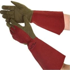 Rose Gloves, Thorn-Proof Suede, Ruby Red With Olive Palms, Unisex By West County 19 Rose Gloves, Thorn-Proof Suede, Ruby Red With Olive Palms, Unisex By West County -A.M. Leonard Tools Shop vp 054 8