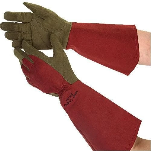 Rose Gloves, Thorn-Proof Suede, Ruby Red With Olive Palms, Unisex By West County 9 Rose Gloves, Thorn-Proof Suede, Ruby Red With Olive Palms, Unisex By West County - Image 9