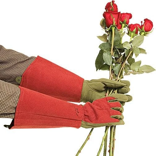 Rose Gloves, Thorn-Proof Suede, Ruby Red With Olive Palms, Unisex By West County 10 Rose Gloves, Thorn-Proof Suede, Ruby Red With Olive Palms, Unisex By West County - Image 10