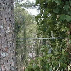 Rigguy Wire Stop And Accessories 5 Rigguy Wire Stop And Accessories -A.M. Leonard Tools Shop vp rg 2